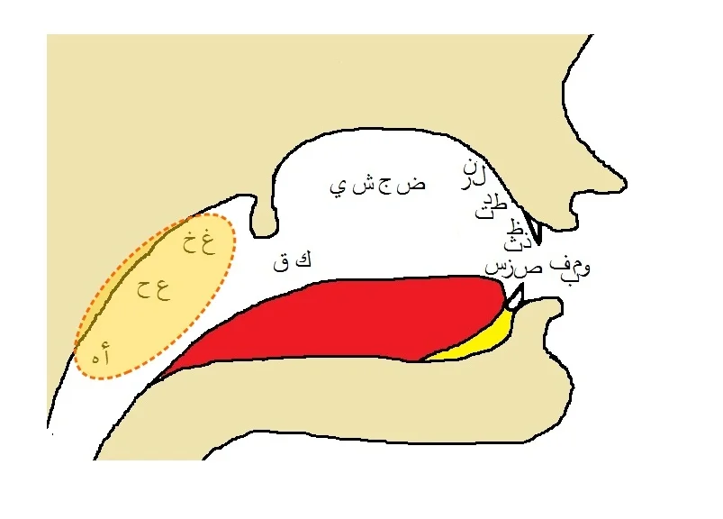 Makharij-Halqiyah