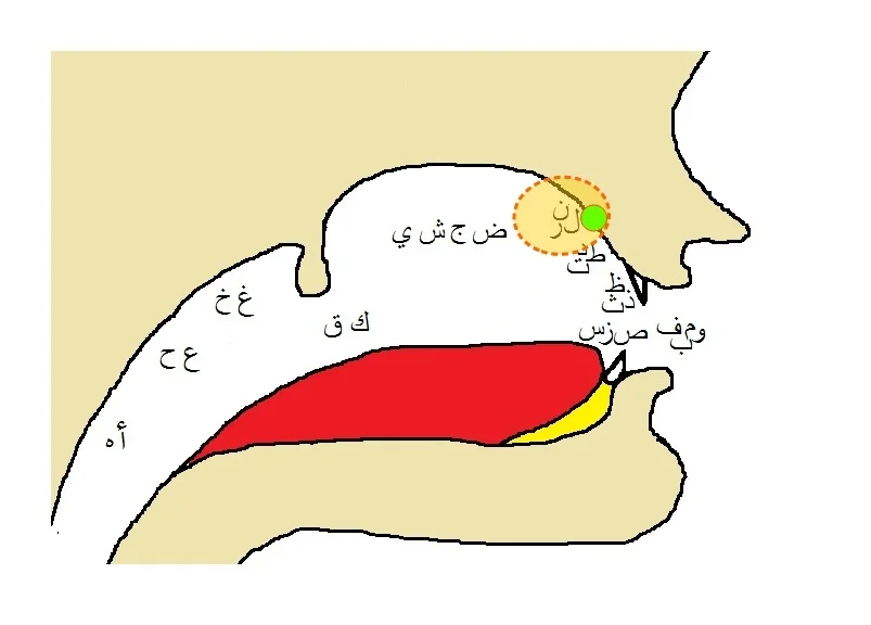 Makharij-Tarfiyah