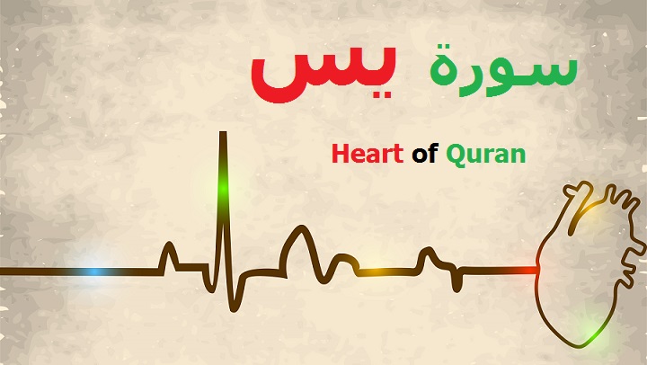 Learn Quran Kids - Heart of Quran