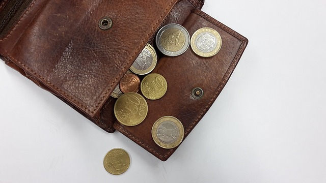 Wallet with coins